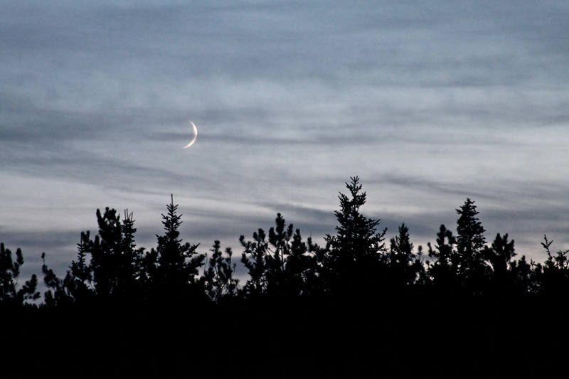 Photo of Moonset