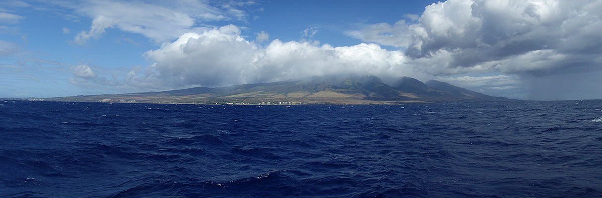 Photo of Maui