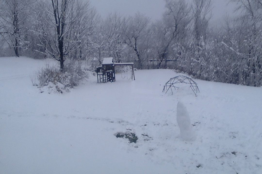 Photo of You’ll never guess