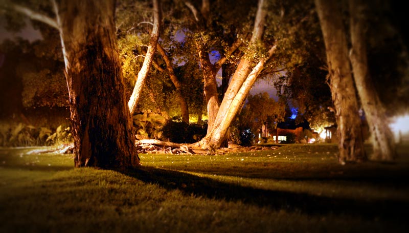 Photo of Night at Canyon Ranch