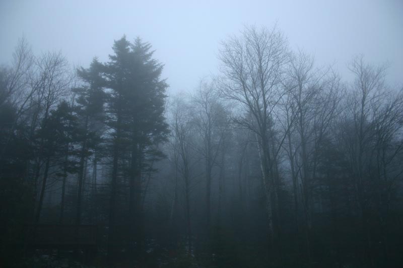 Photo of Foggy December