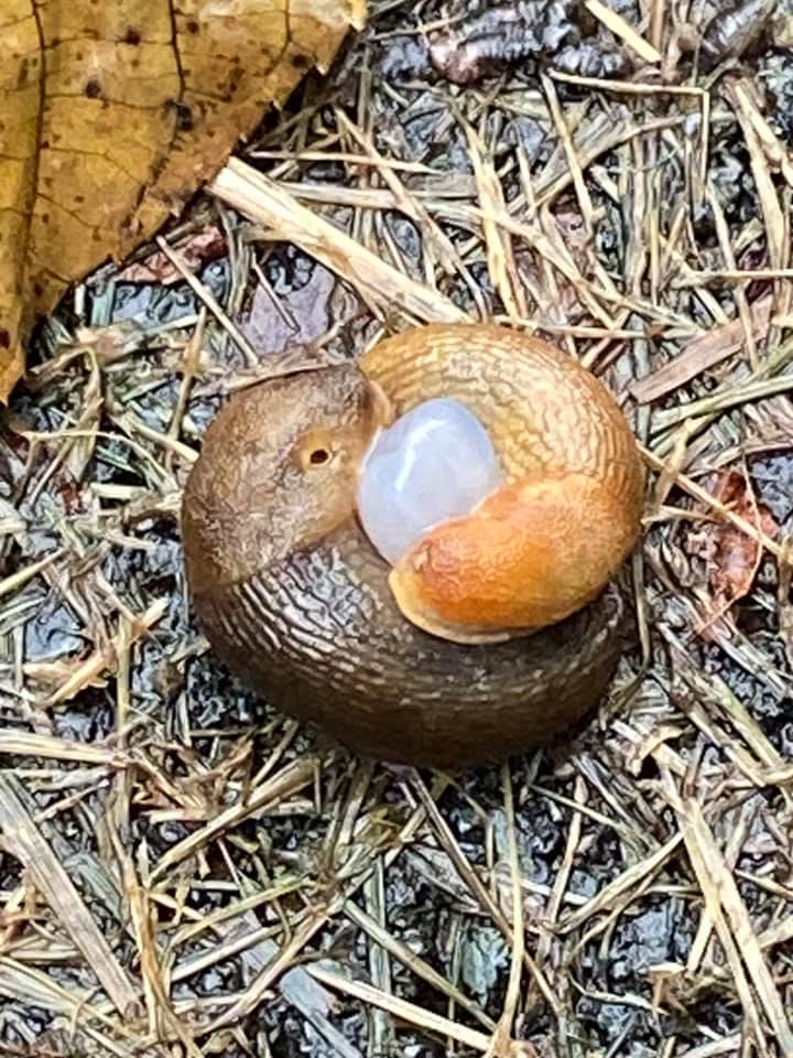 Photo of Get a room, guys