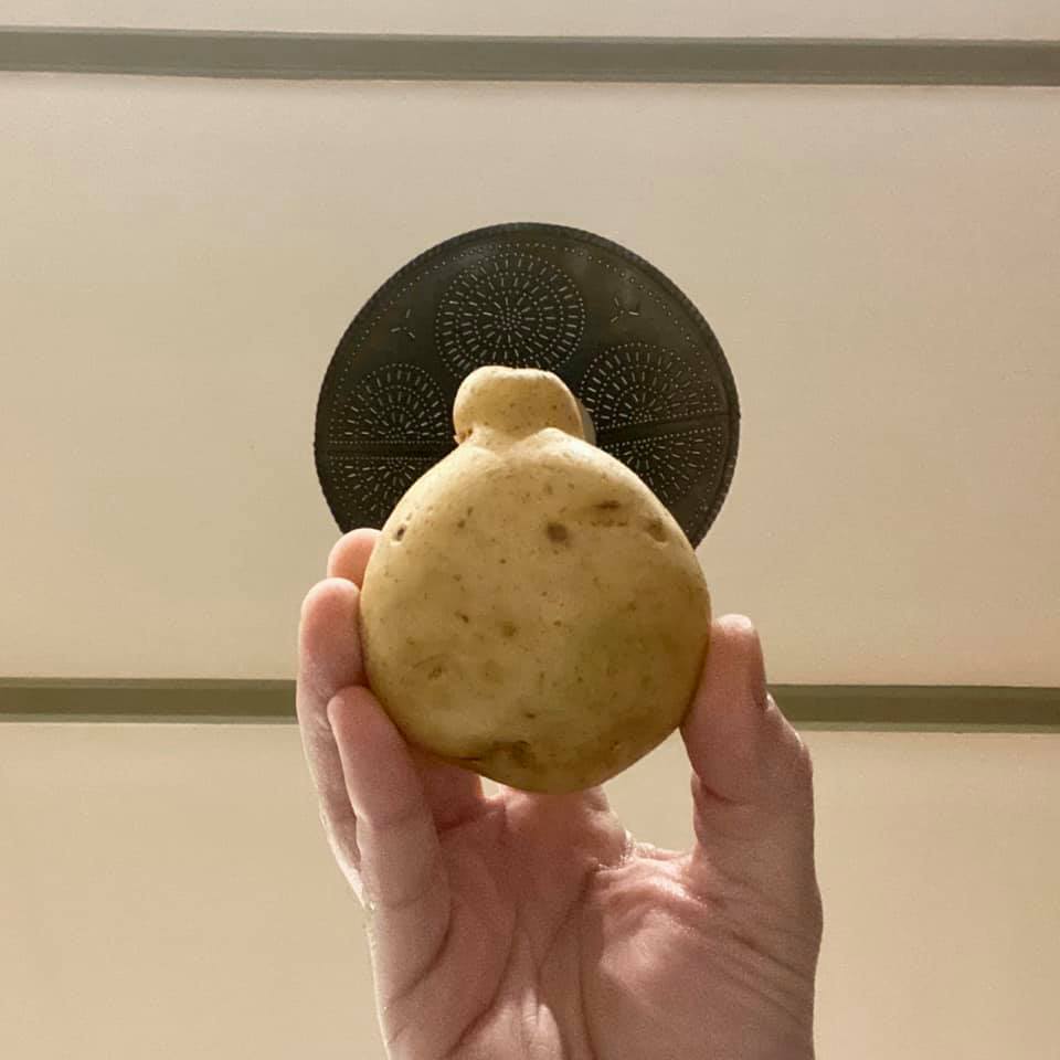 Photo of  We have named this potato Françoise