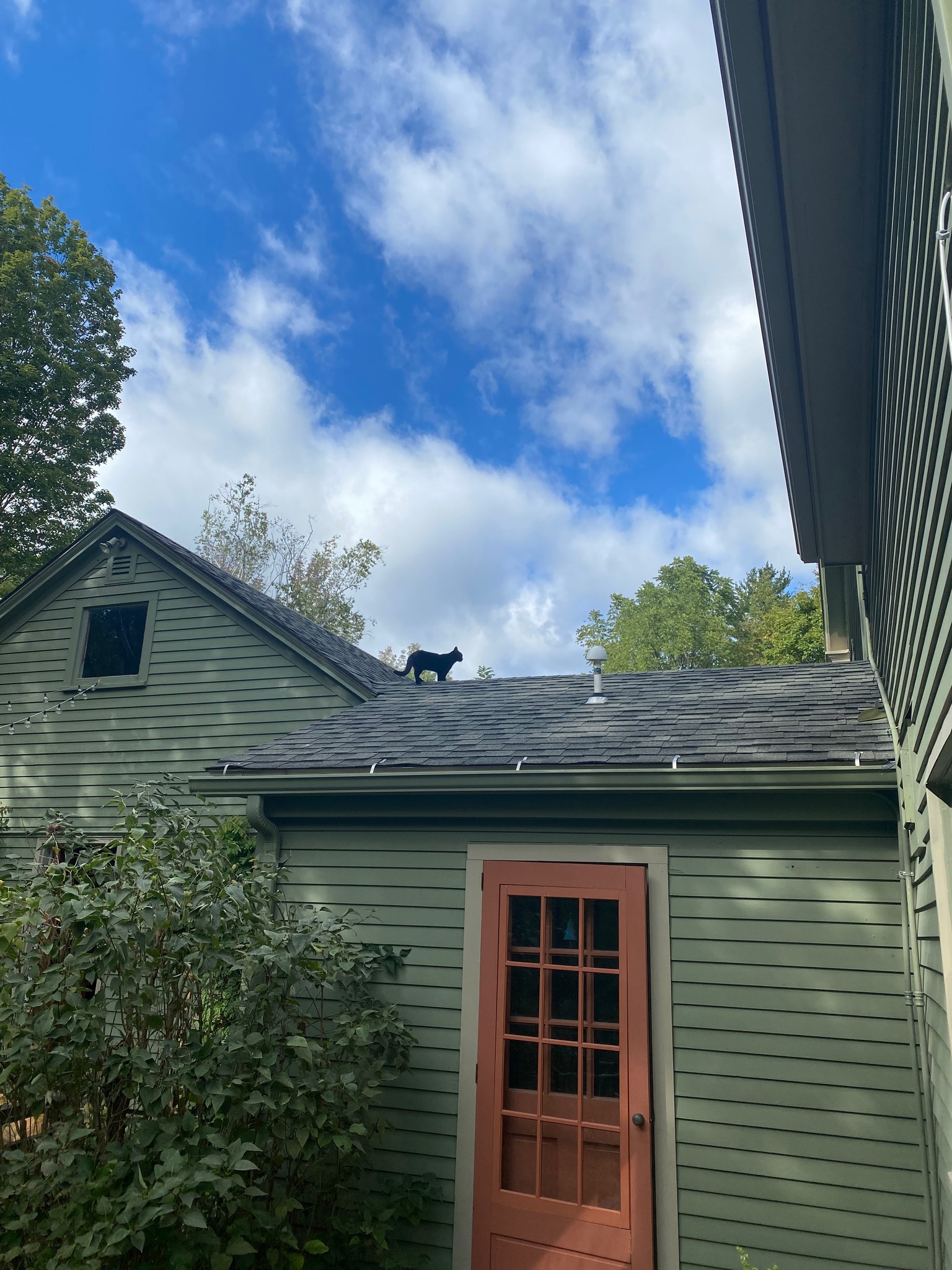 Photo of Physics glitch