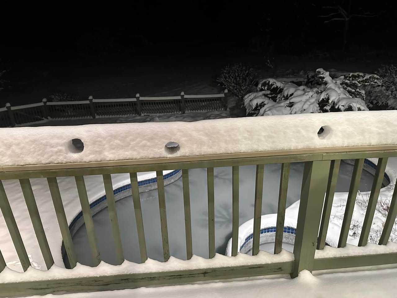 Photo of Snow borers