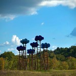 Little fluffy clouds