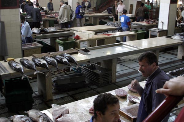 Photo of Fish market: fumar mate