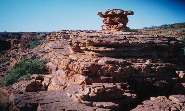 Photo of Kings Canyon is visited by the Society For Putting Things On Top Of Other Things