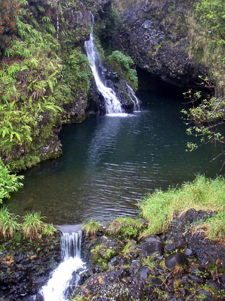 Photo of The rainy side of Maui