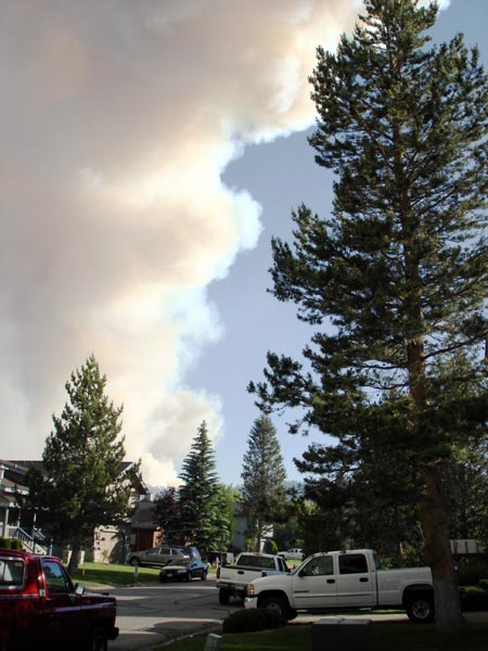 Photo of Angora Fire