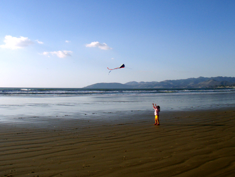 Photo of Lorelai cannot quite reach the kite