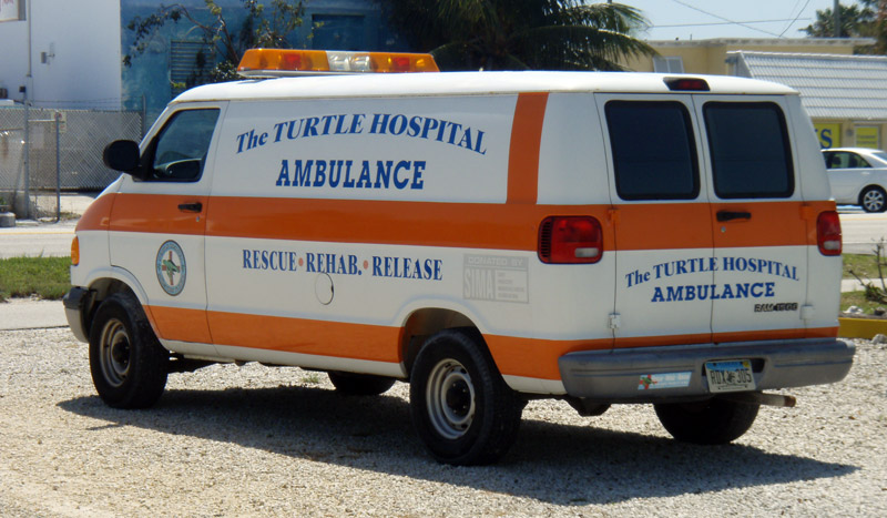 Photo of The Turtle Hospital Ambulance