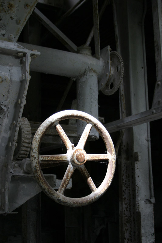 Photo of Wheel
