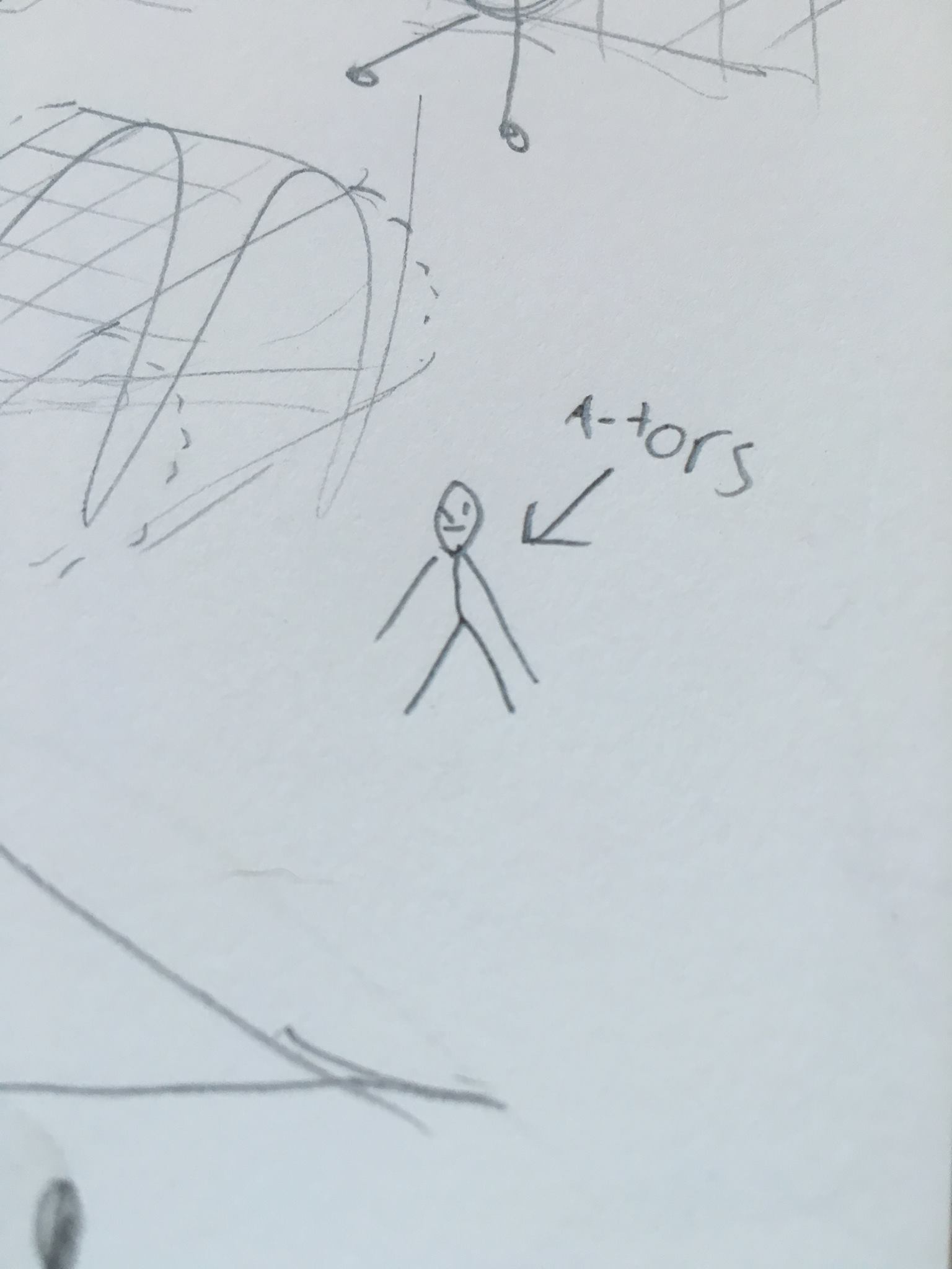 A two dimensional torus
