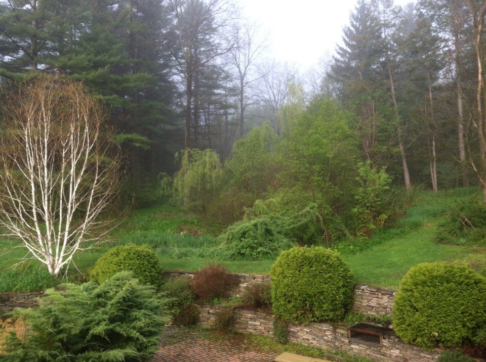 Spring