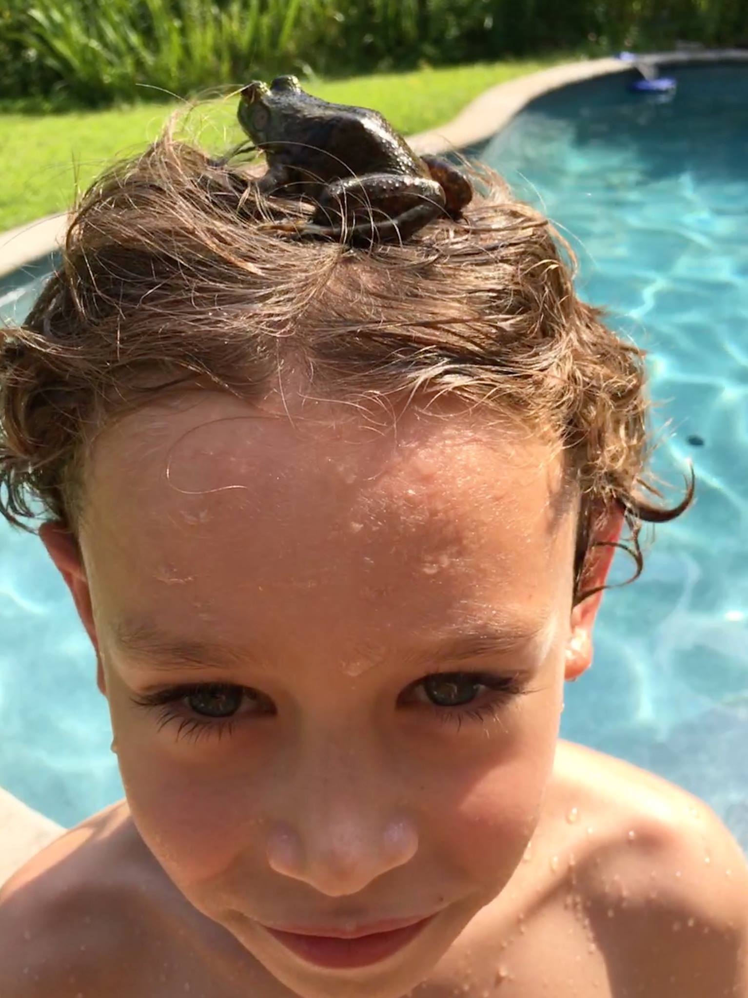 Pool guest