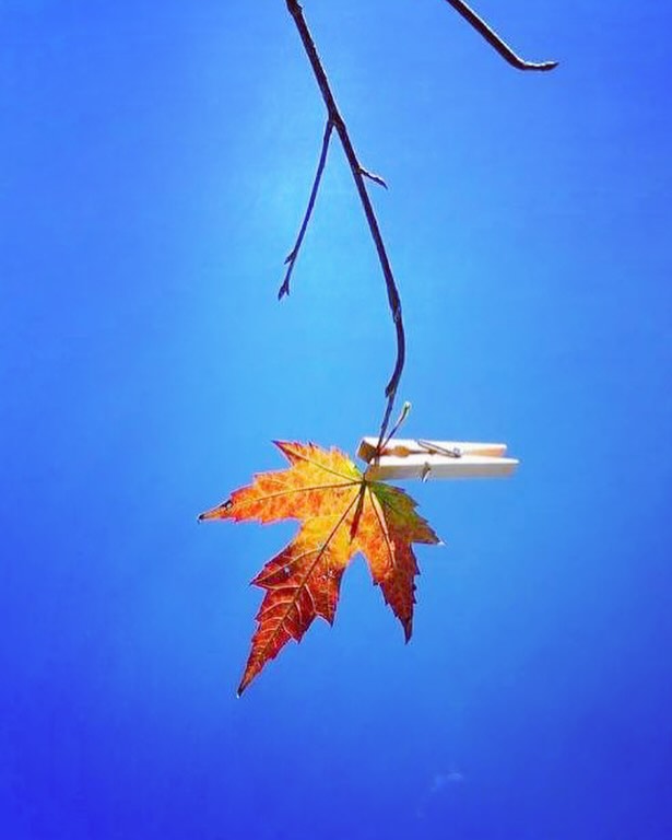 Autumn