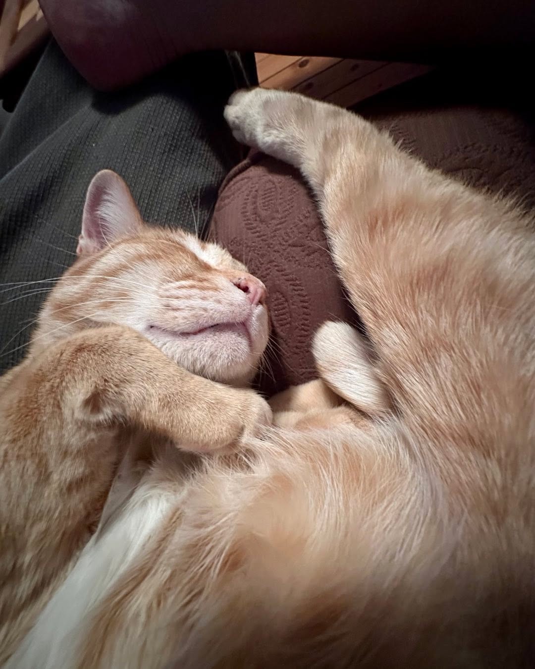 Sleepy