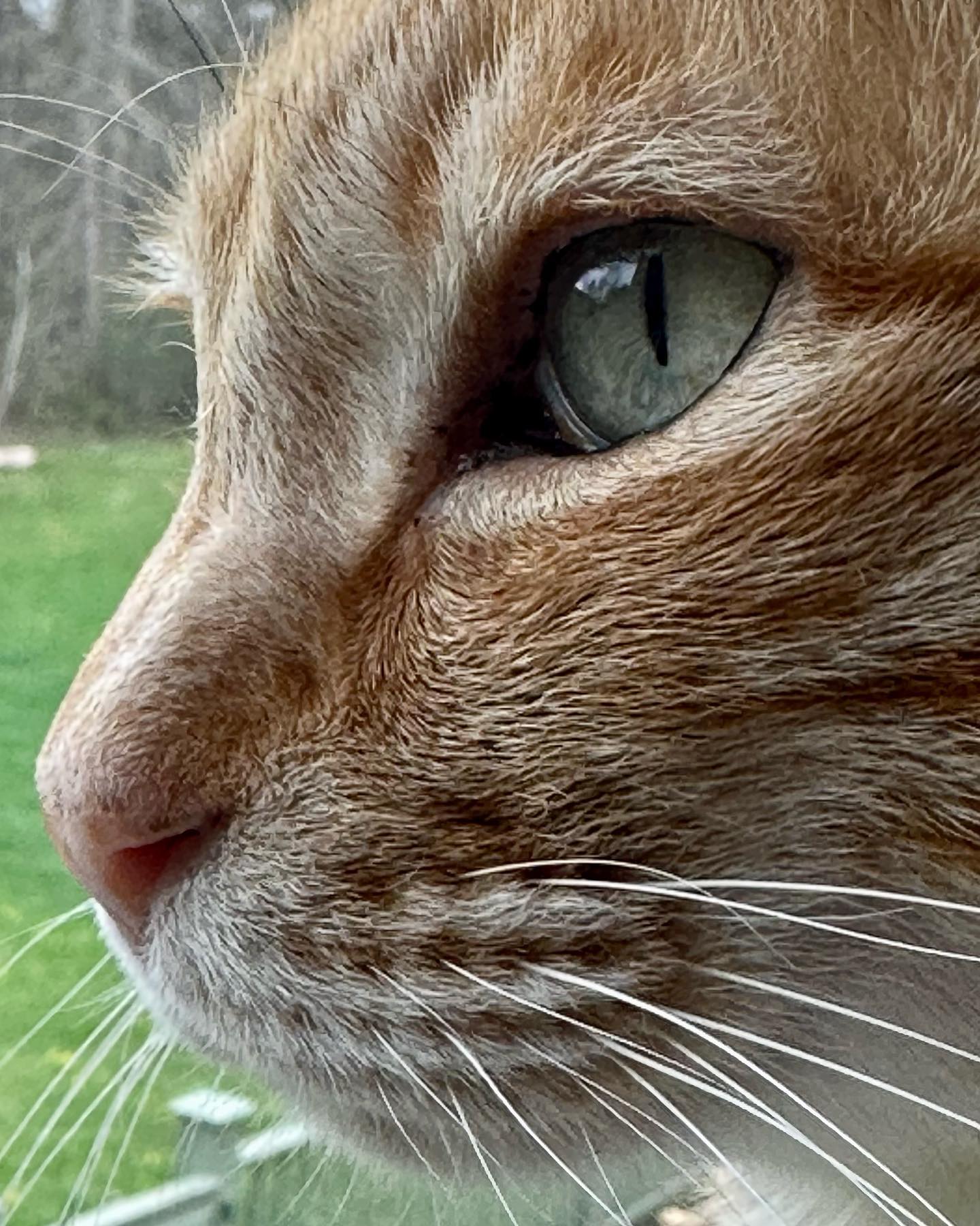Profile