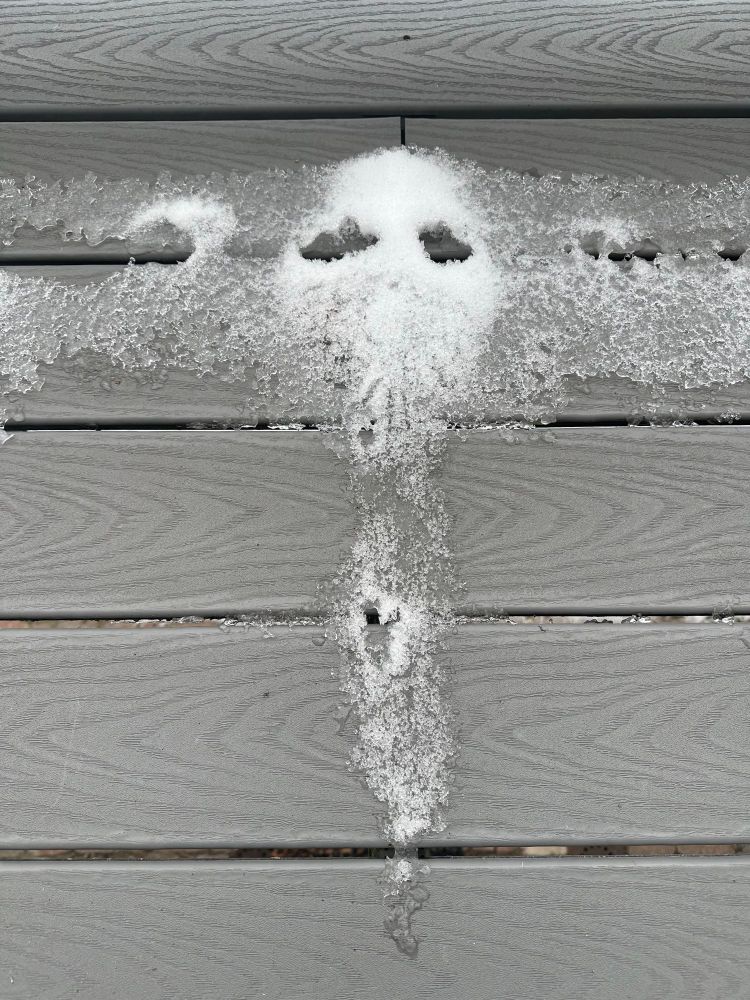 Winter ghost