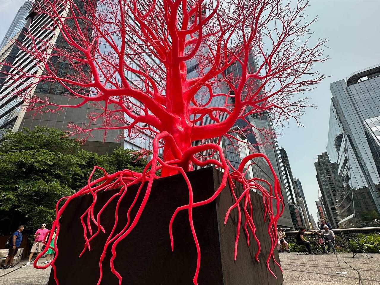 Photo of NYC red tree