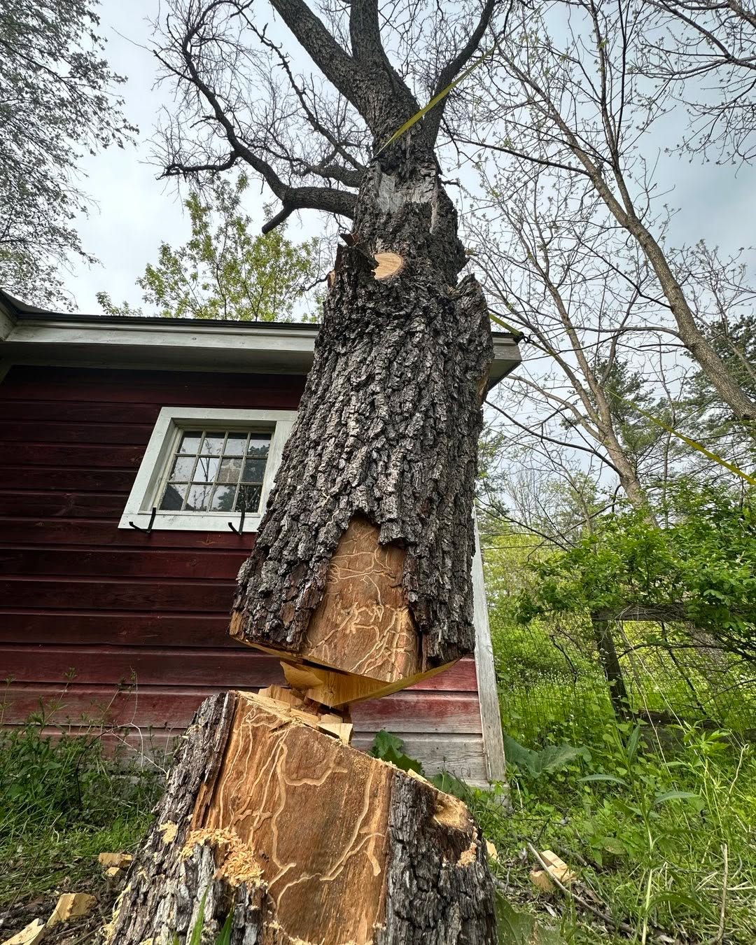 Photo of Allllmost there