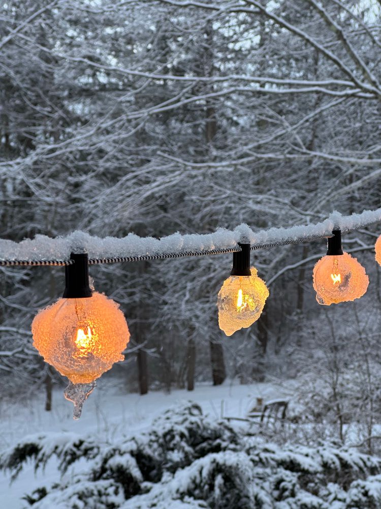 Photo of Winter lights